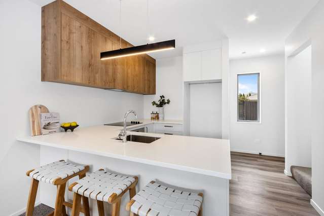 198 Lyttelton Street Spreydon_3