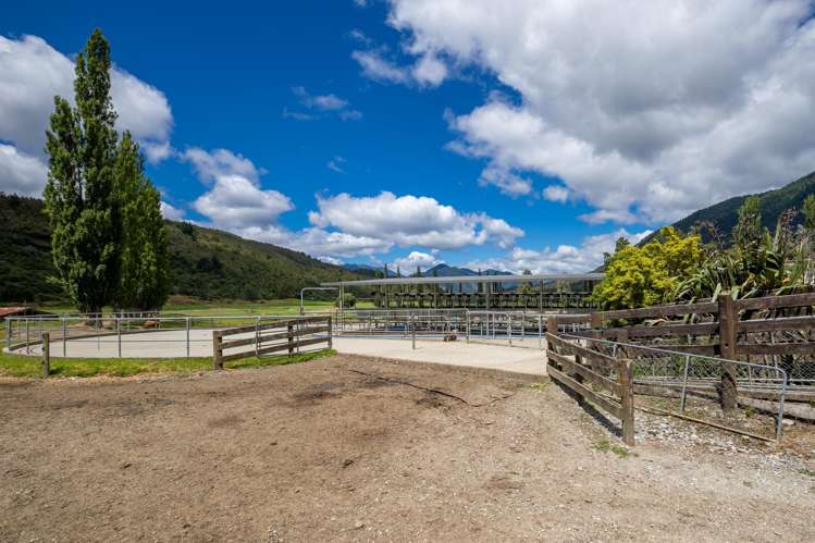 1153 Shenandoah Highway Murchison_7