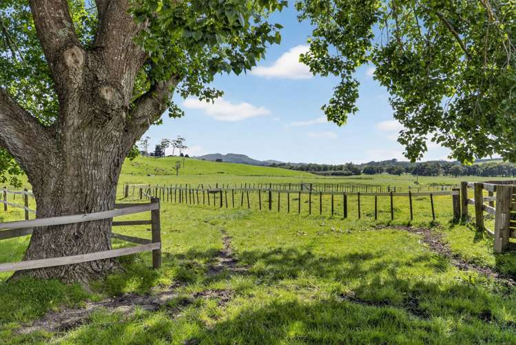 54 Edgerley Road Kaipara Flats_16