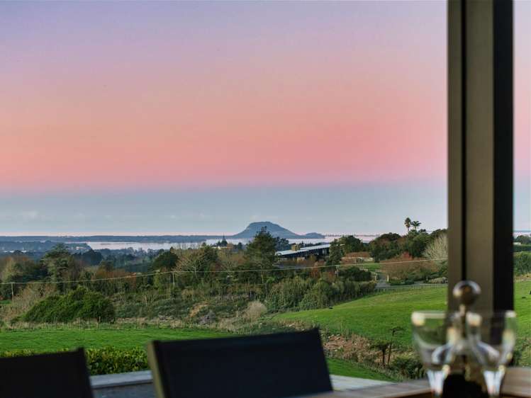 533 Wainui South Road Whakamarama_41