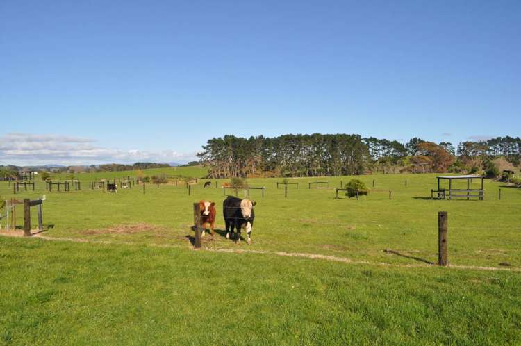 96 Westhead Road Waiuku_21