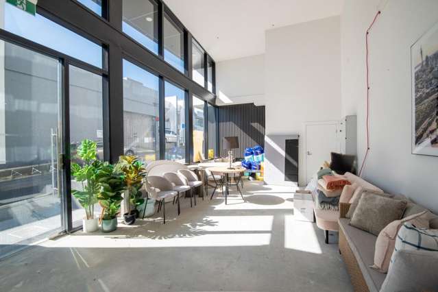 45 Randolph Street Eden Terrace_1