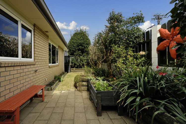 10a Whitaker Street Otumoetai_16