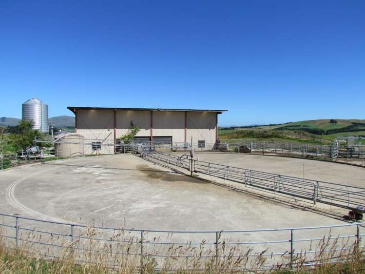 219 Beacon Hill Road Clinton and Surrounds_18