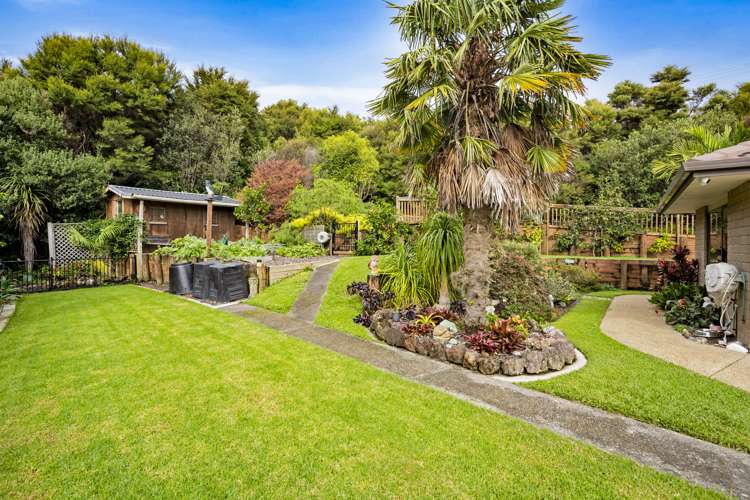 115 Wade River Road Stanmore Bay_9