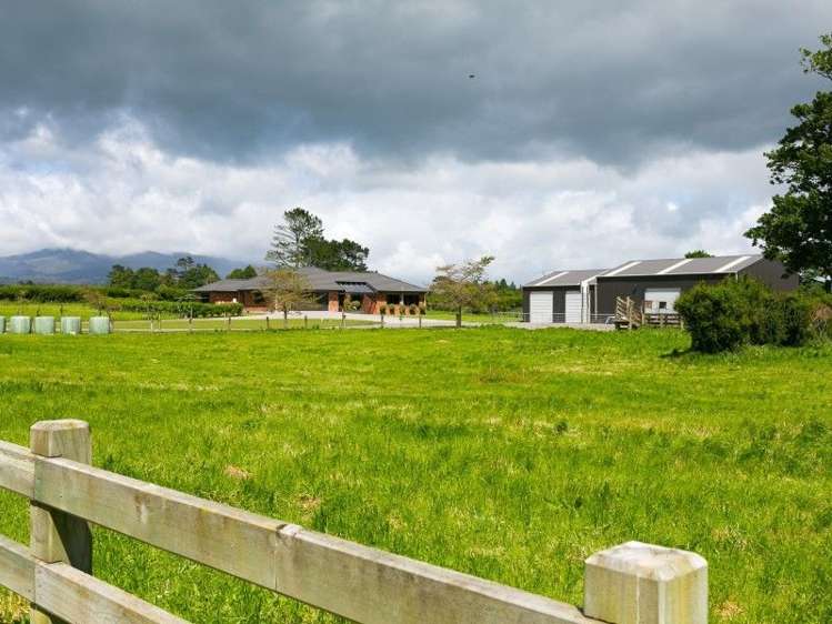 218 Dudley Road Inglewood_10