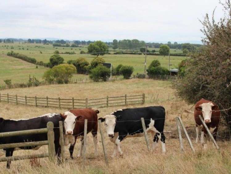 10 Colin Drive Paeroa_9