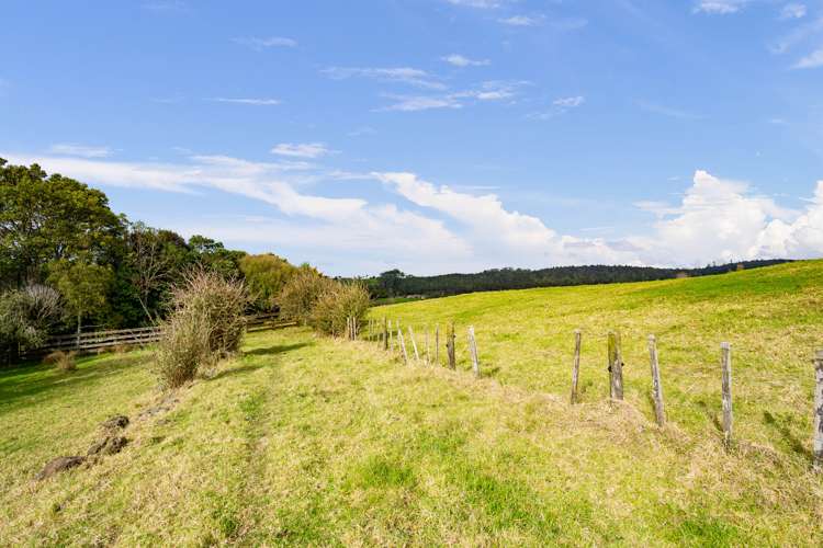 2 Nihotetea Lane (Pvt) Maunu_19