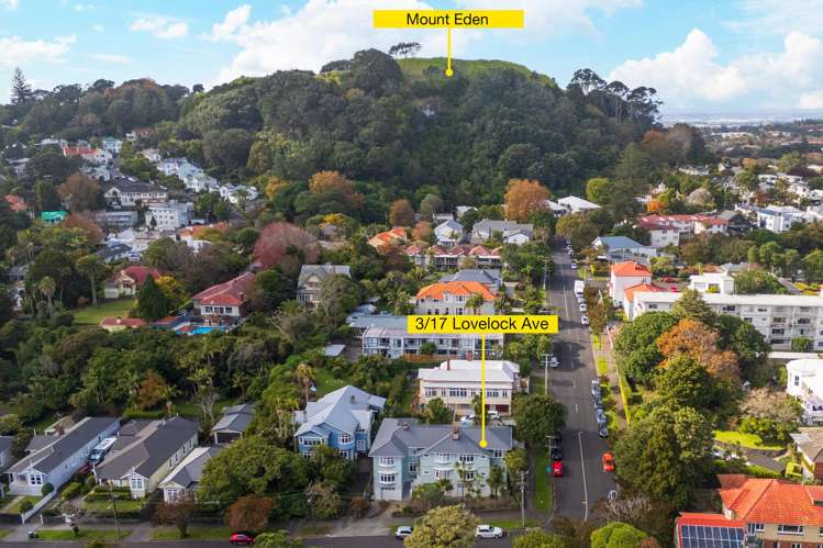 3/17 Lovelock Avenue Mount Eden_21