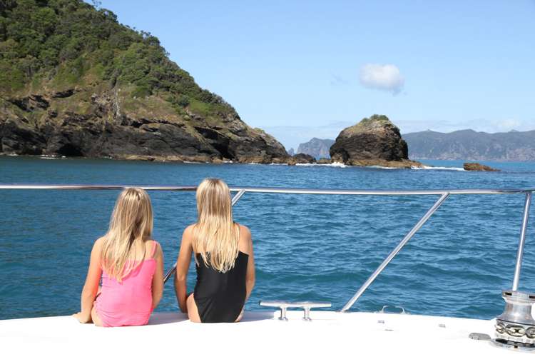 17 Finch Street One Tree Point_12