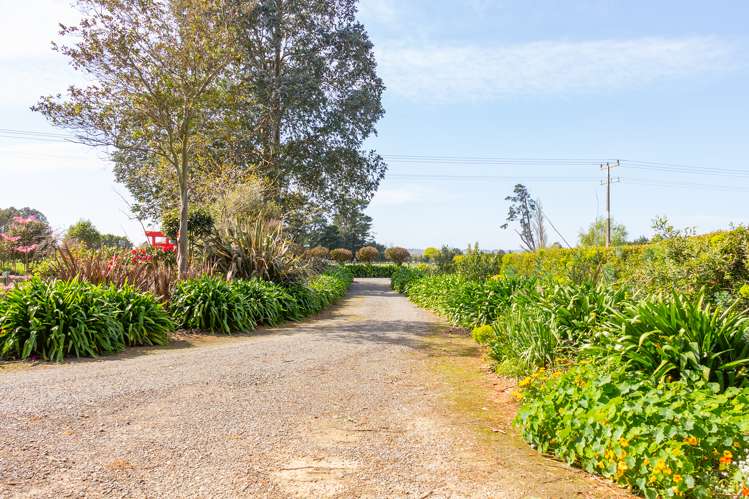 56 Upper Manaia Road Upper Plain_19