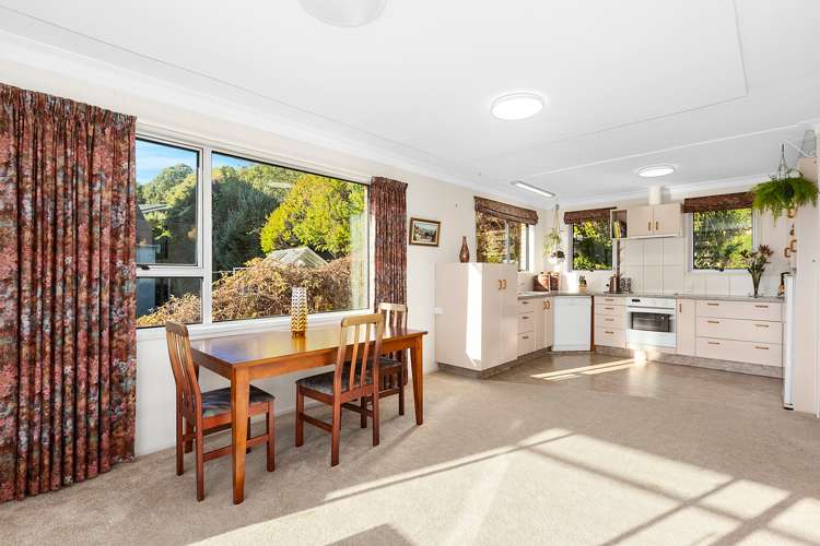 215 Larnach Road Waverley_5