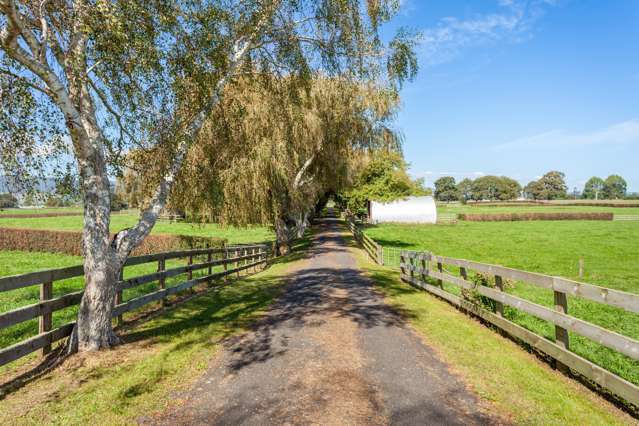 Lot 1 and 3/441 Taihoa South Road Matamata_1