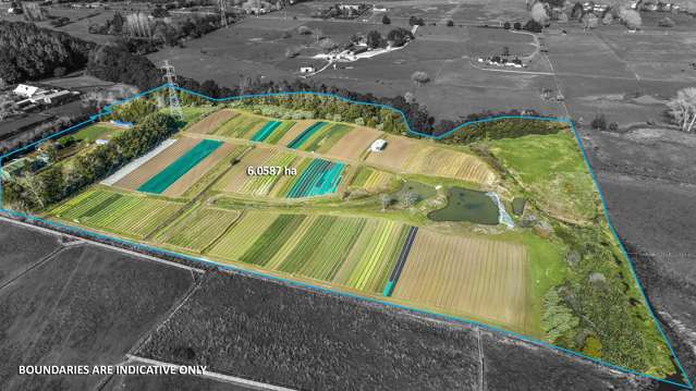 47 Parish Line Road Clevedon_4