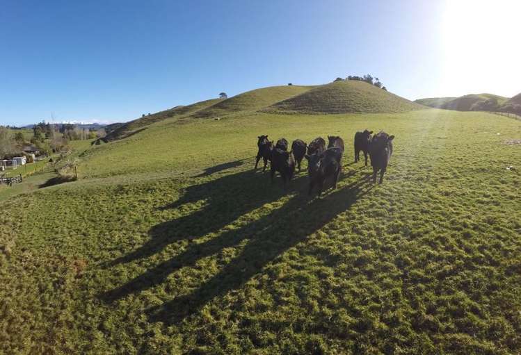 234 Rosedale Road Upper Moutere_24