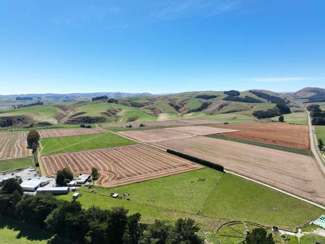 381 Sims Road West Otago Surrounds_2