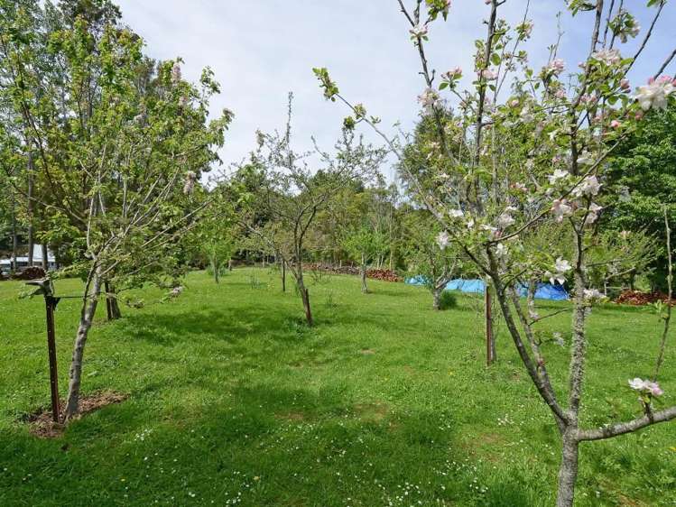 167 Katherine Mansfield Drive Whitemans Valley_23