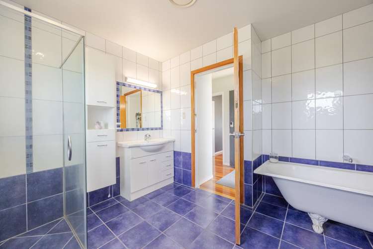 21 Pitt Street Clive_13