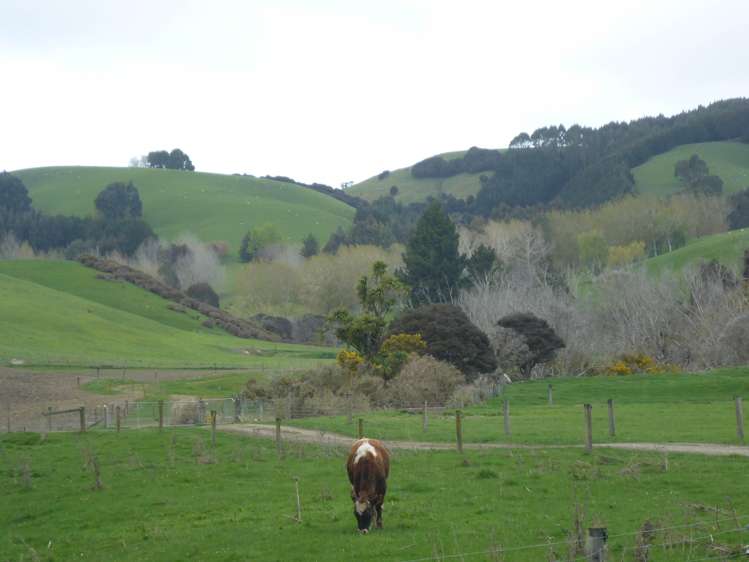 Glenledi Road Milton_6