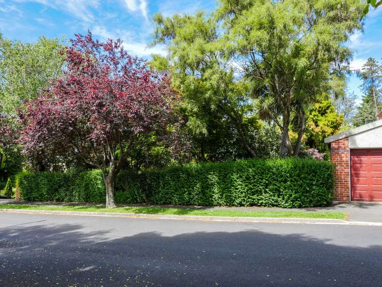 52 Grendon Street Maori Hill_13