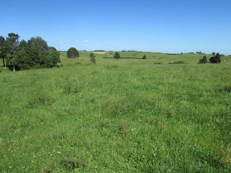 311 Hunt Road Pukekawa_18