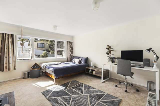 45 Liardet Street Vogeltown_1