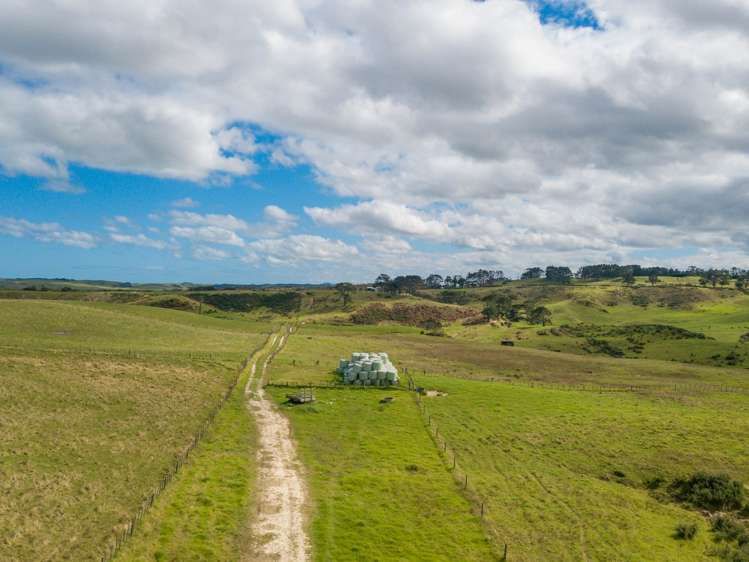 455 Mt Wesley Coast Road Dargaville_8