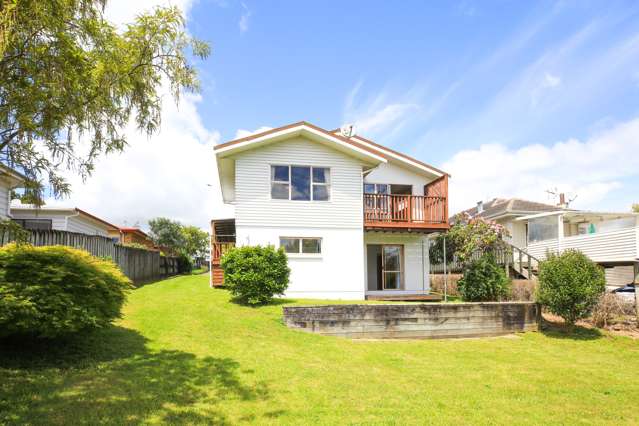 614 Teasdale Street Te Awamutu_1