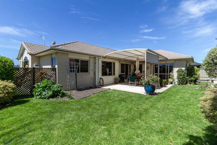 253 Guppy Road Taradale_16