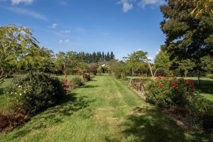 120 Johnstone Street Tinwald_33