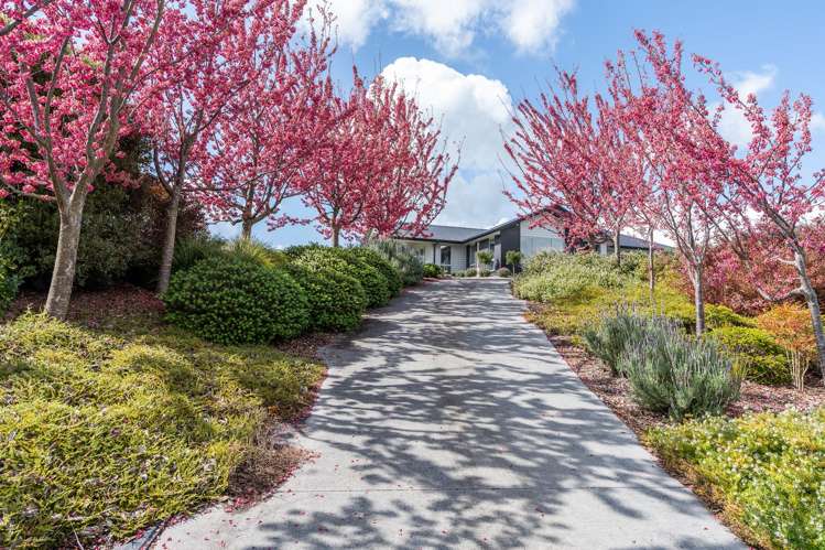 29 Charles Edwards Street_1