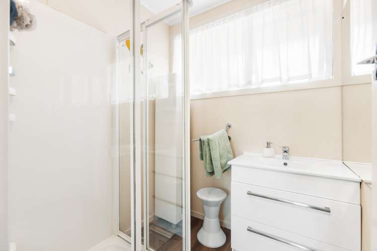 94 Ashworth Street Alexandra_8