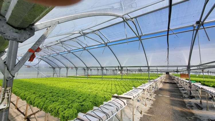 116 Wingatui Road Mosgiel_32