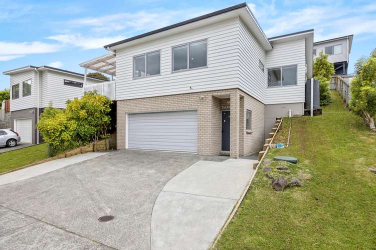 55 Leo Street Glen Eden_20