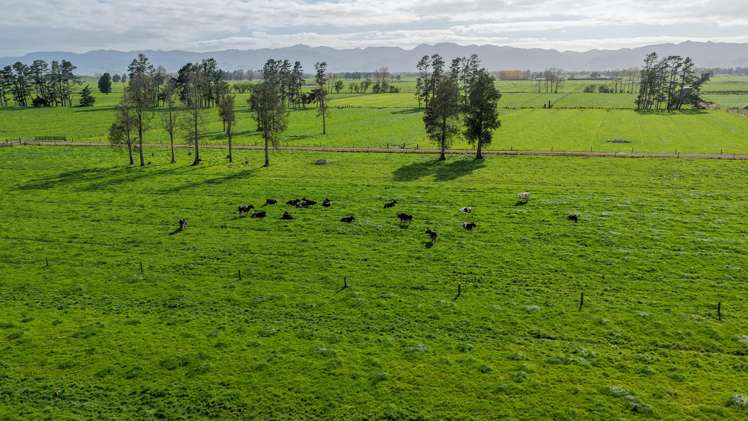 118 + 119 Wharepoa Road Netherton_11