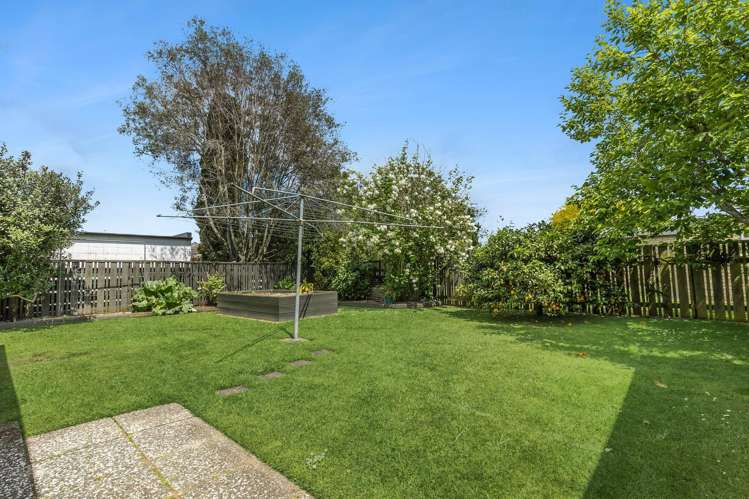 6 Pukatea Place Matamata_14