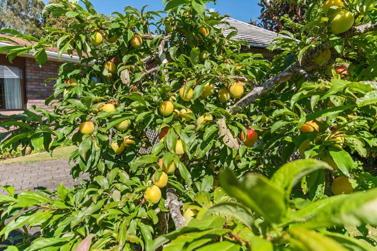 59 Karina Road Merrilands_19