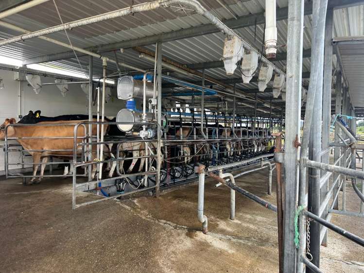 220 Larsen Road Eketahuna_12