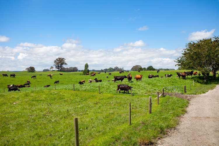 3069 Old Taupo Road Tokoroa_6