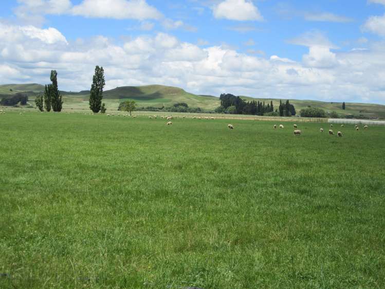 3389 State Highway 2 Takapau_9