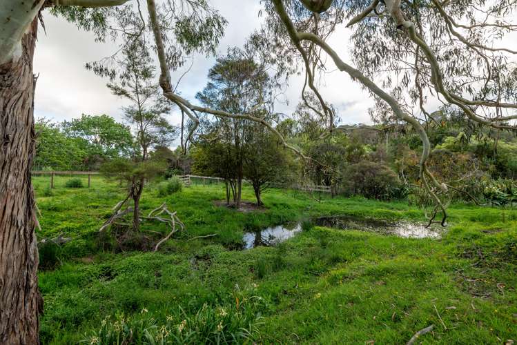 2 Moses Road Kaukapakapa_30