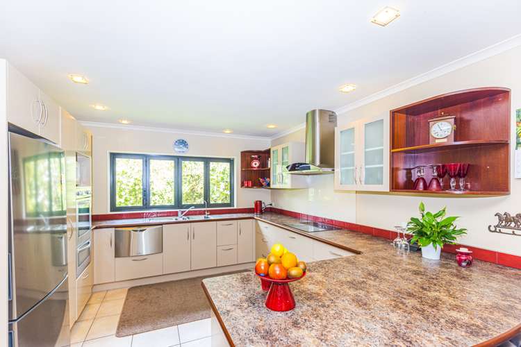 121 Mount View Road Bastia Hill_8