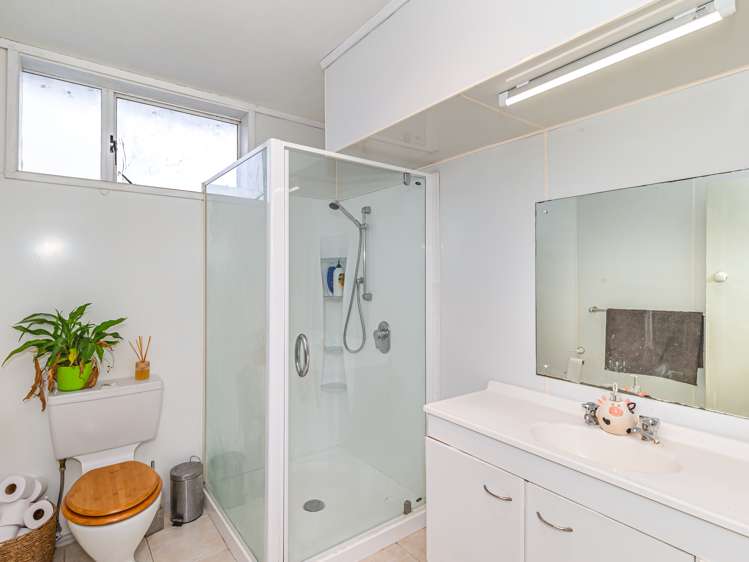 35a Kent Street Levin_5