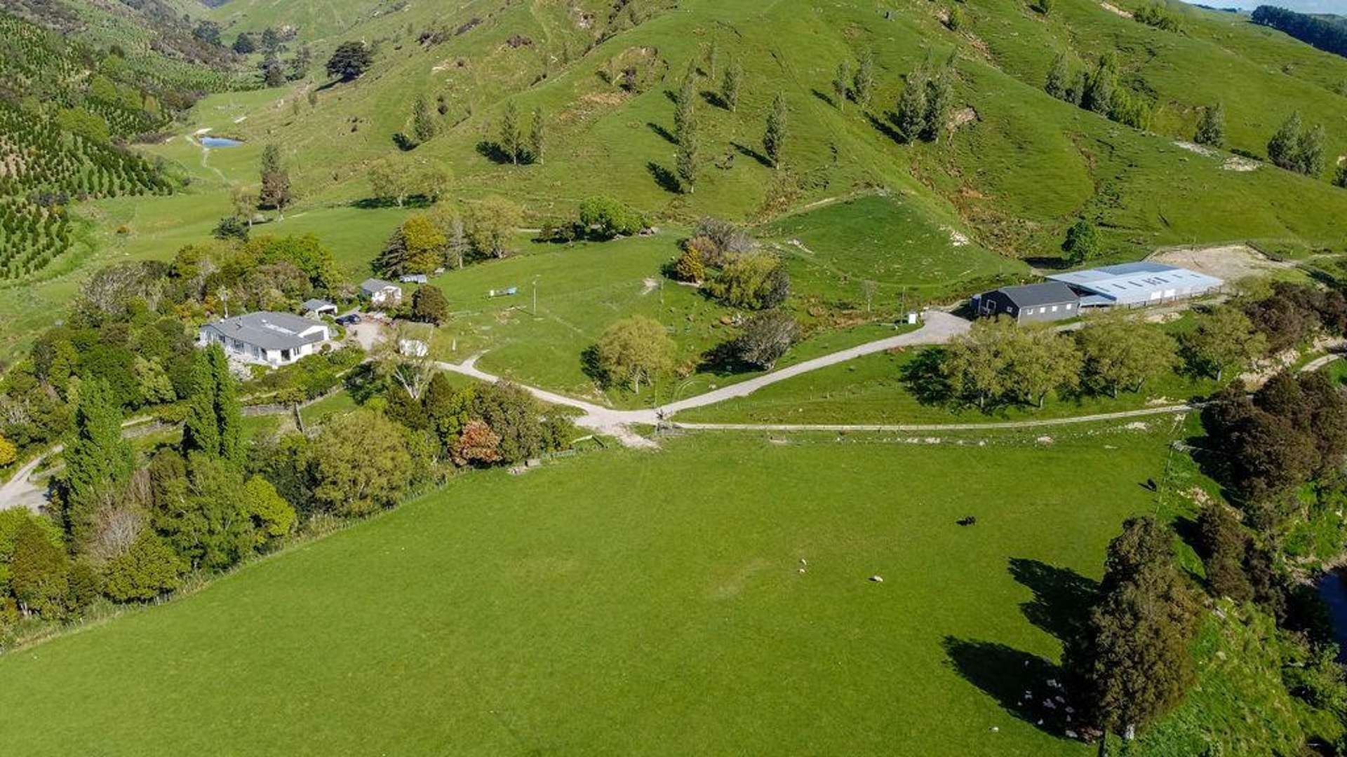 1614 Hinemoa Valley Road Pahiatua_0