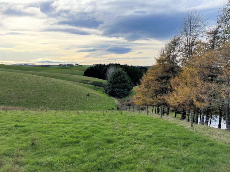 318 Hillend Road Balclutha_6