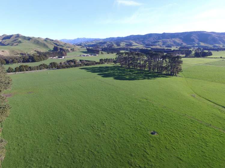 1125 Kakariki Road Eketahuna_13