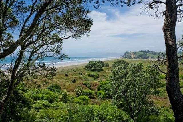 213 Ohiwa Beach Road Opotiki and Surrounds_2