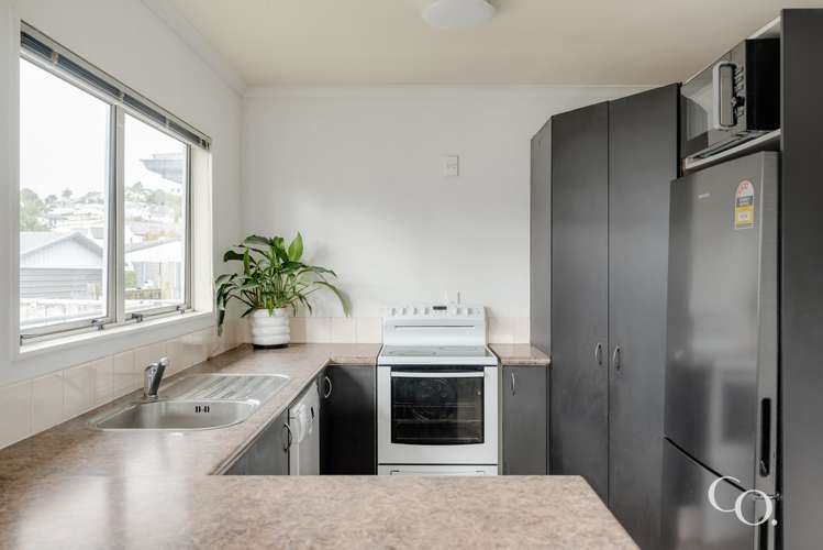 377 Waihi Road Judea_10