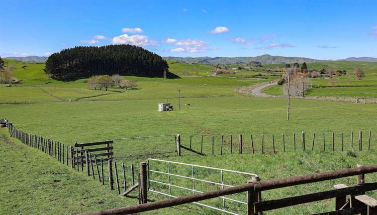 171 Martin Road Waerenga_33