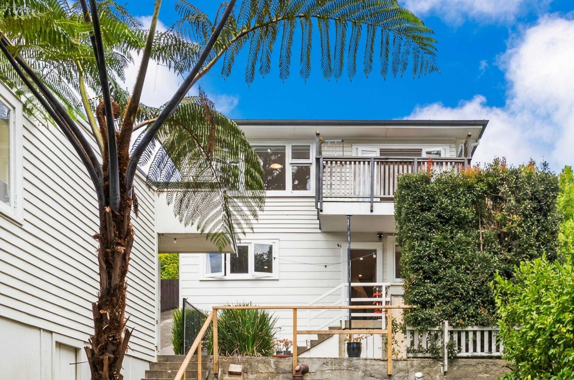 10 Allen Road Grey Lynn_0
